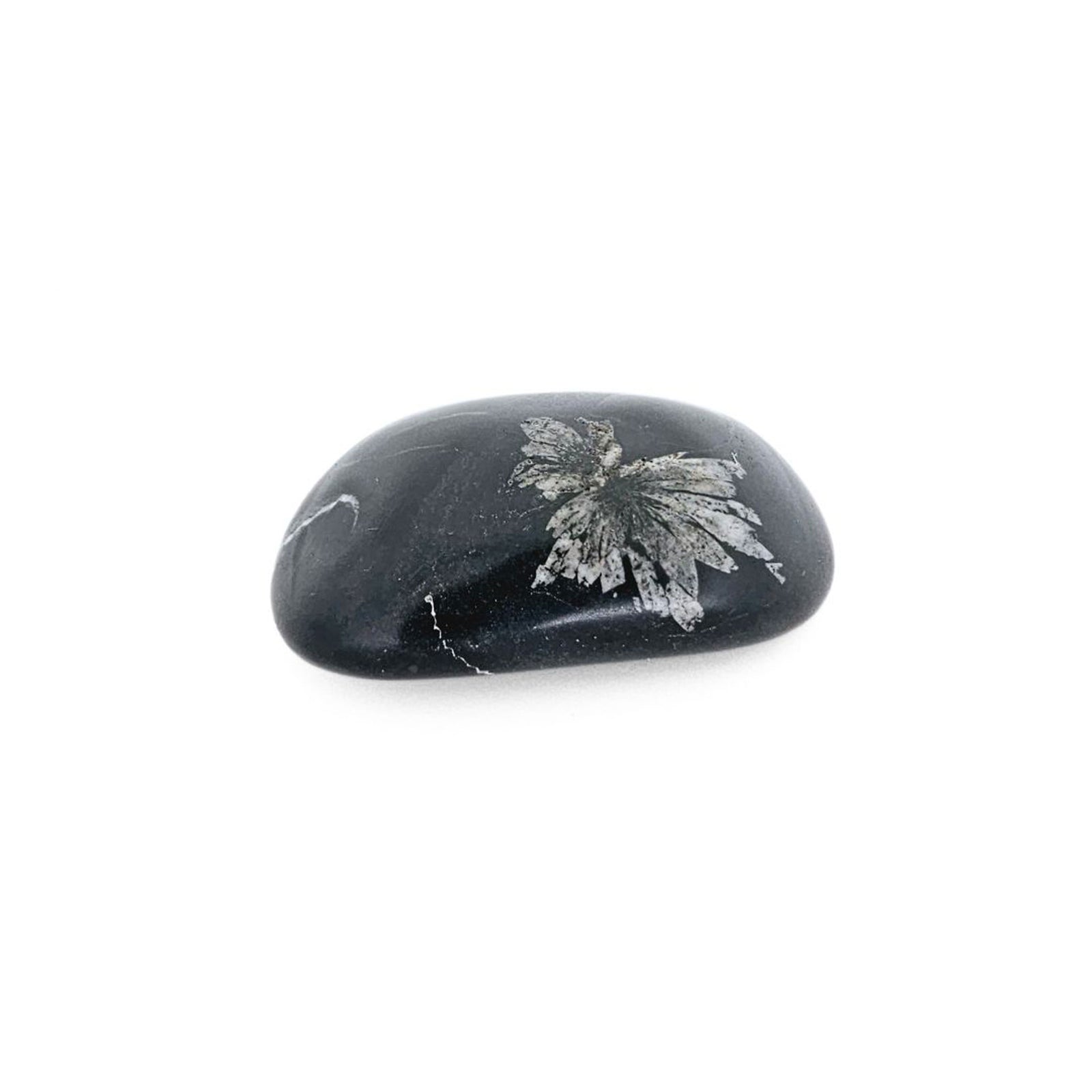 Chrysanthemum Stone
