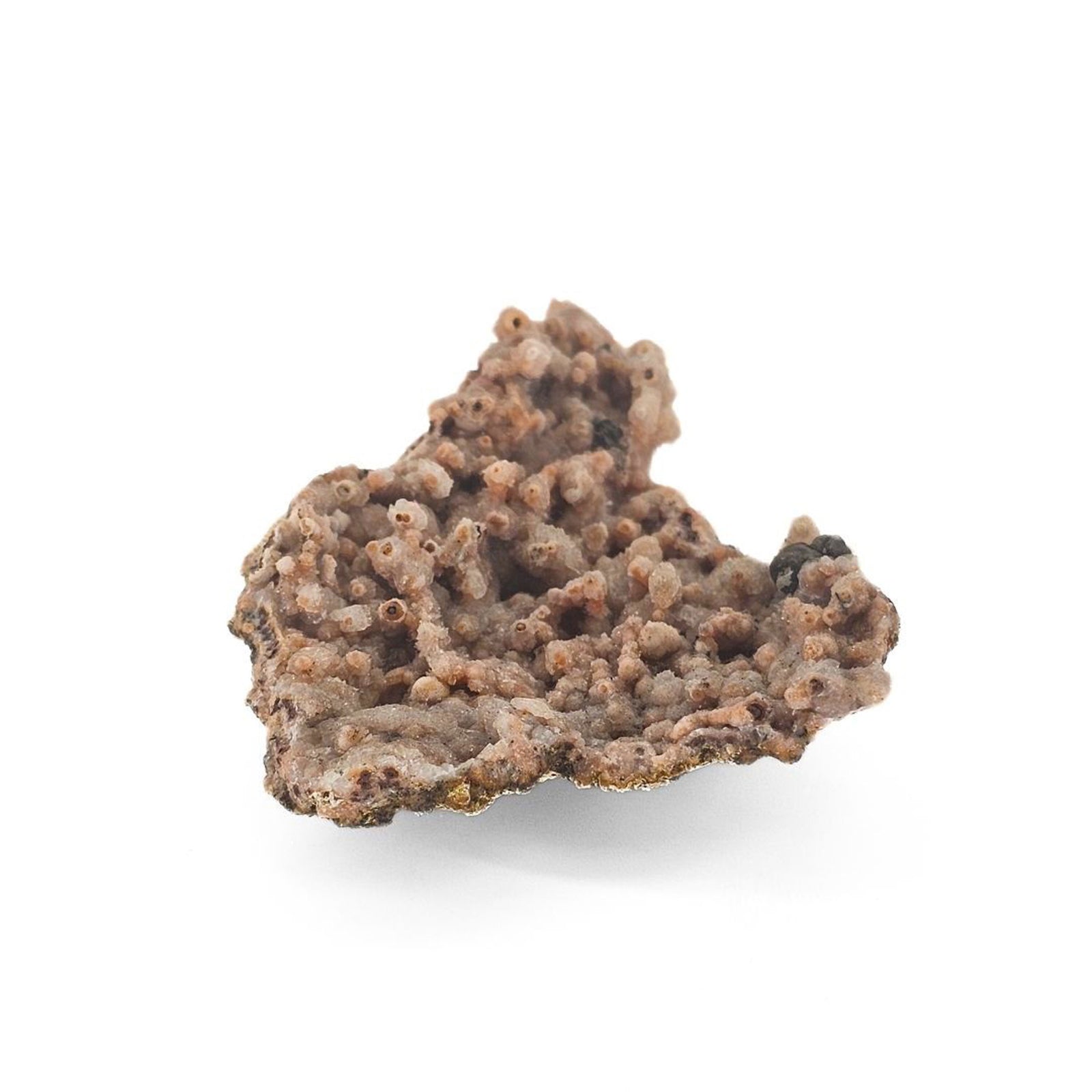 Moroccan Red Chalcedony