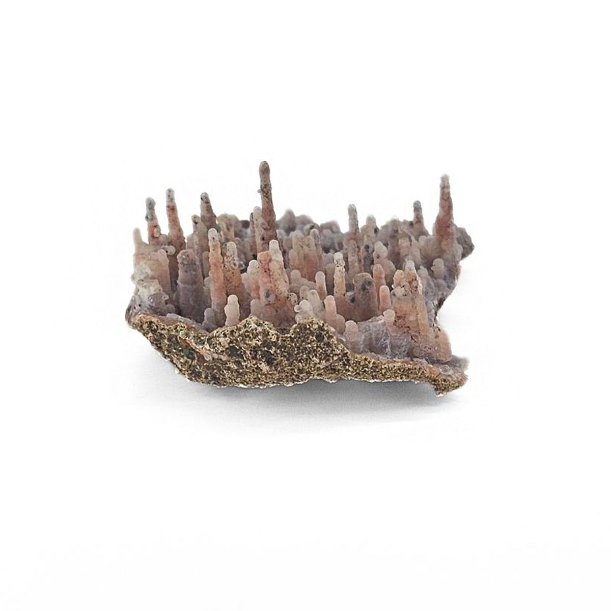 Moroccan Red Chalcedony