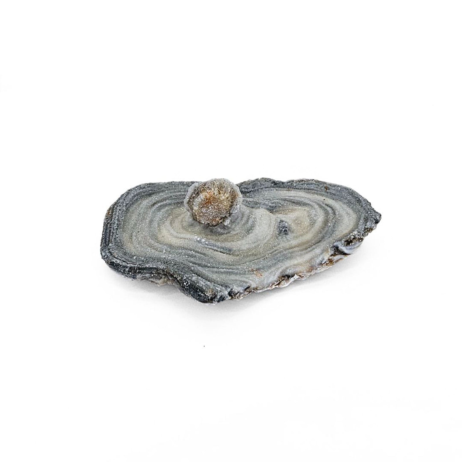 Desert Druzy Chalcedony