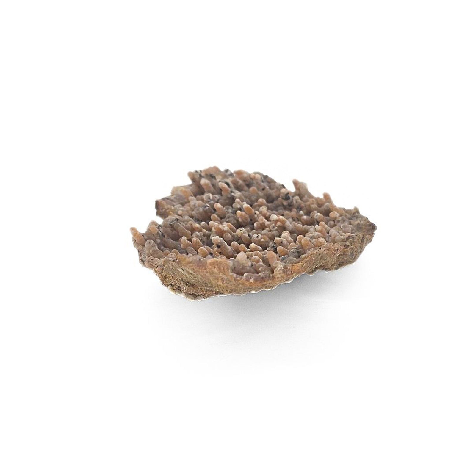 Moroccan Red Chalcedony