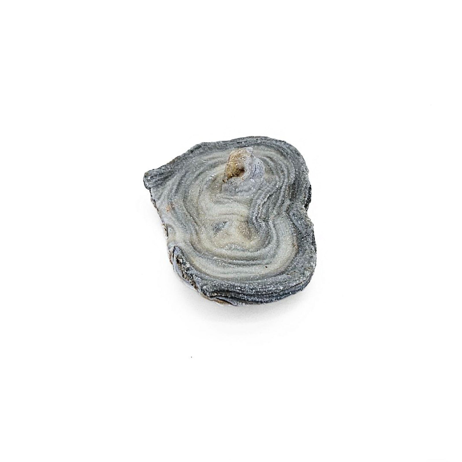 Desert Druzy Chalcedony