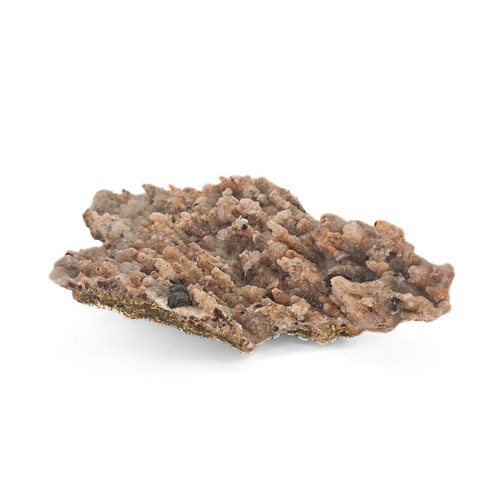 Moroccan Red Chalcedony