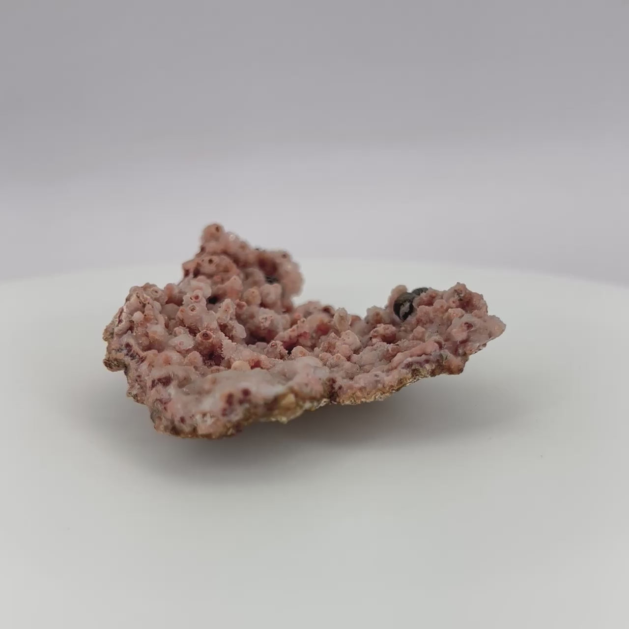 Moroccan Red Chalcedony